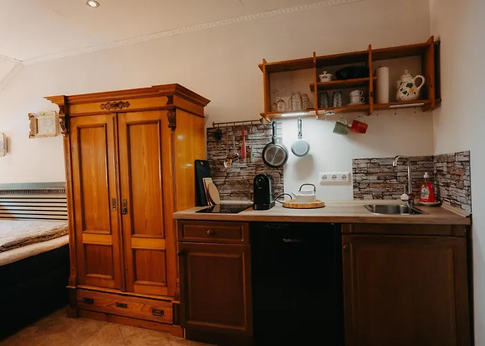 Altes Haeusle - Doppelzimmer Weinrebe Edenkoben